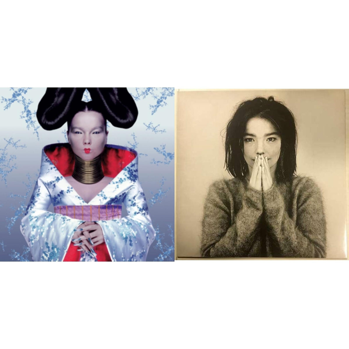 Debut & Homogenic