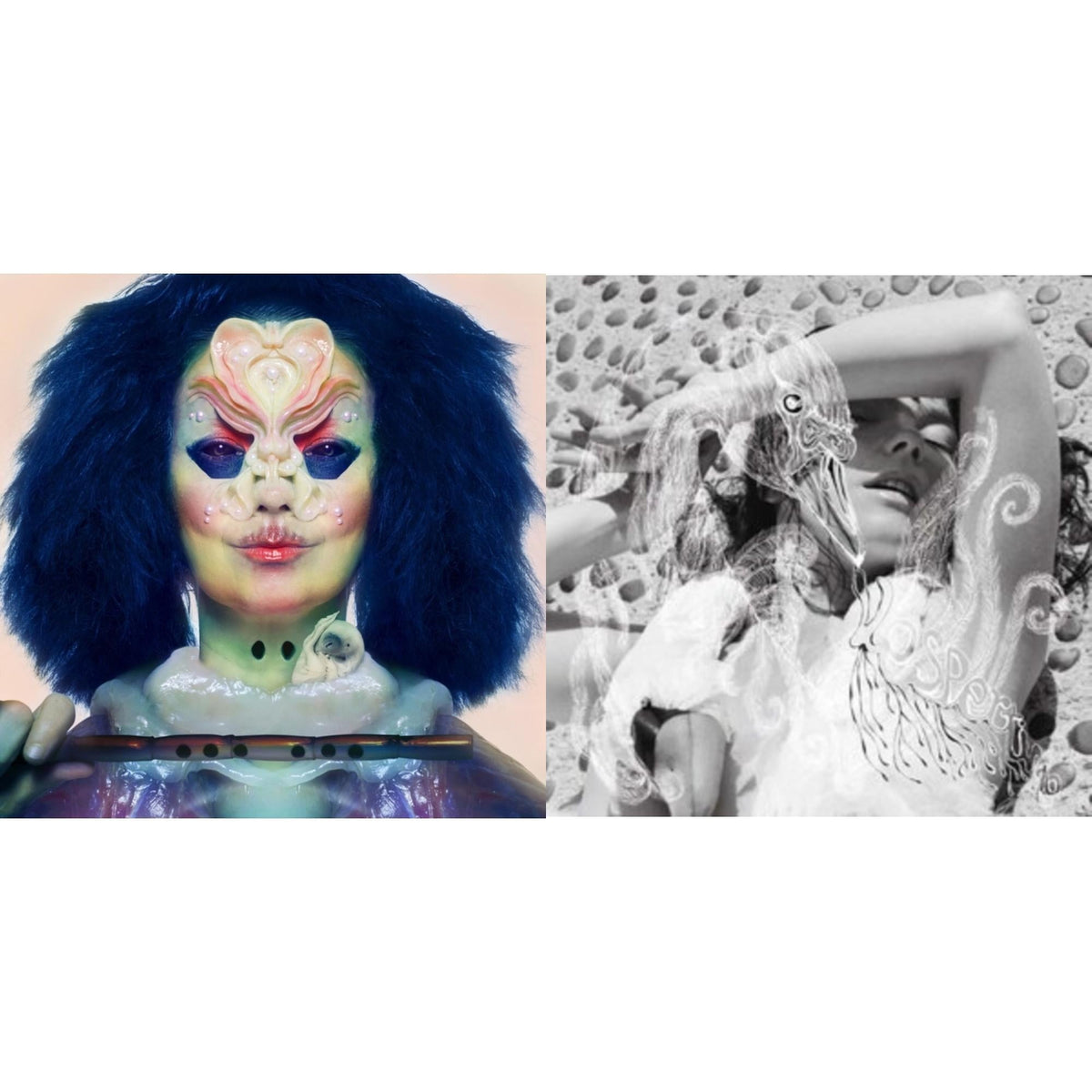 Bjork - Vespertine & Utopia - LP Vinyl Bundle