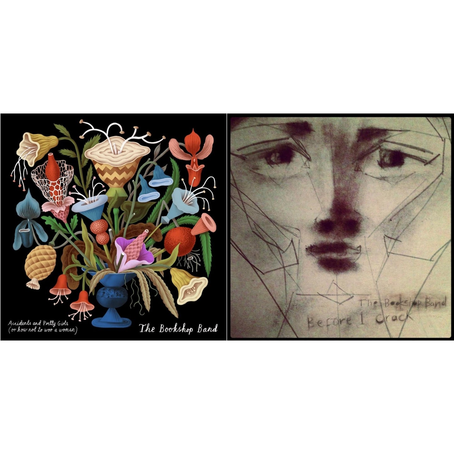 This is a 2 CD SKU bundle.
1.This CD is brand new.Format: CDThis item's title is: Accidents & Pretty GirlsArtist: Bookshop BandLabel: LETTERPRESS RECORDSBarcode: 5055831989227Release Date: 2/3/2017
2.This CD is brand new.