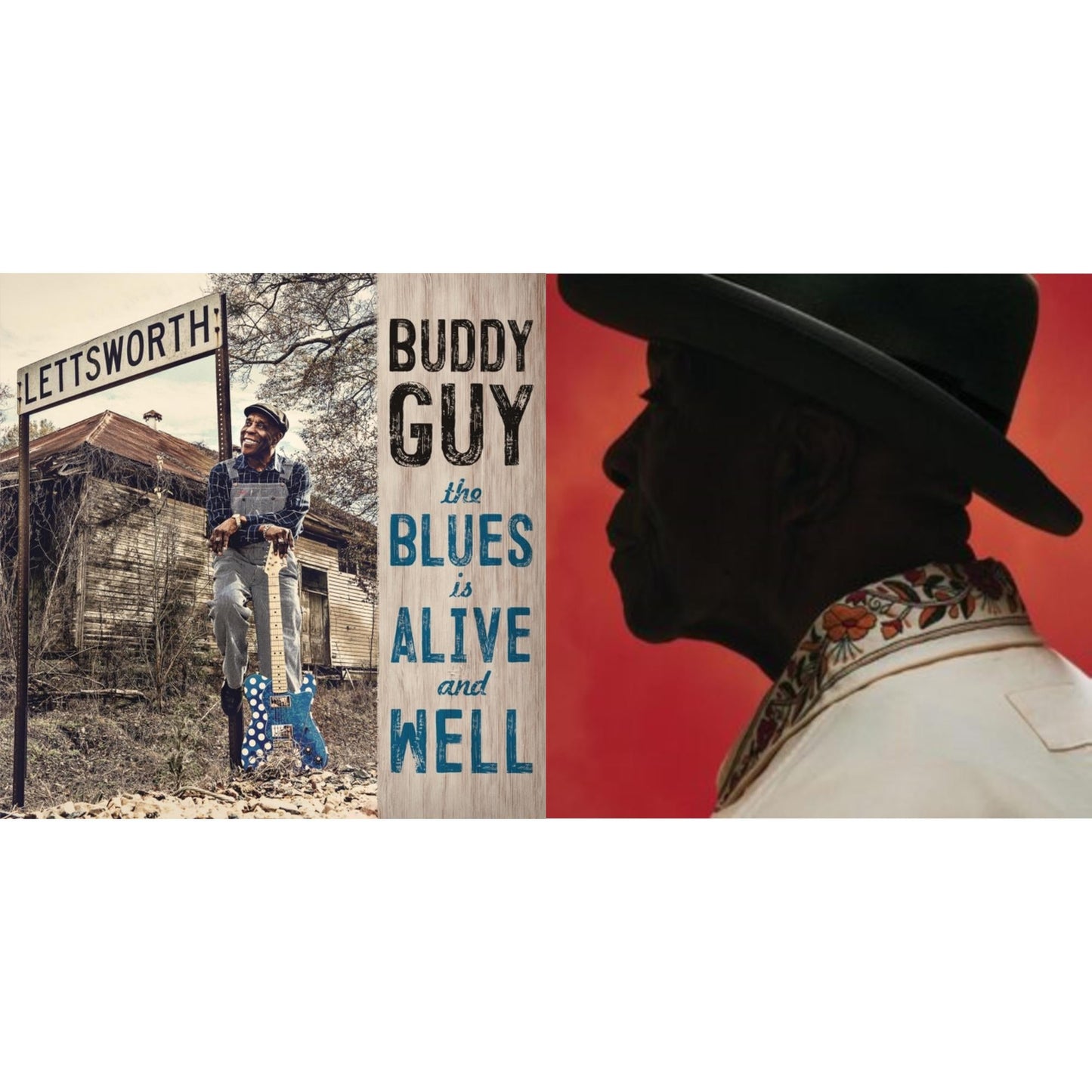 Blues Is Alive & Well (2LP/150G/Gatefold) & Ain't Done With The Blues (2LP)