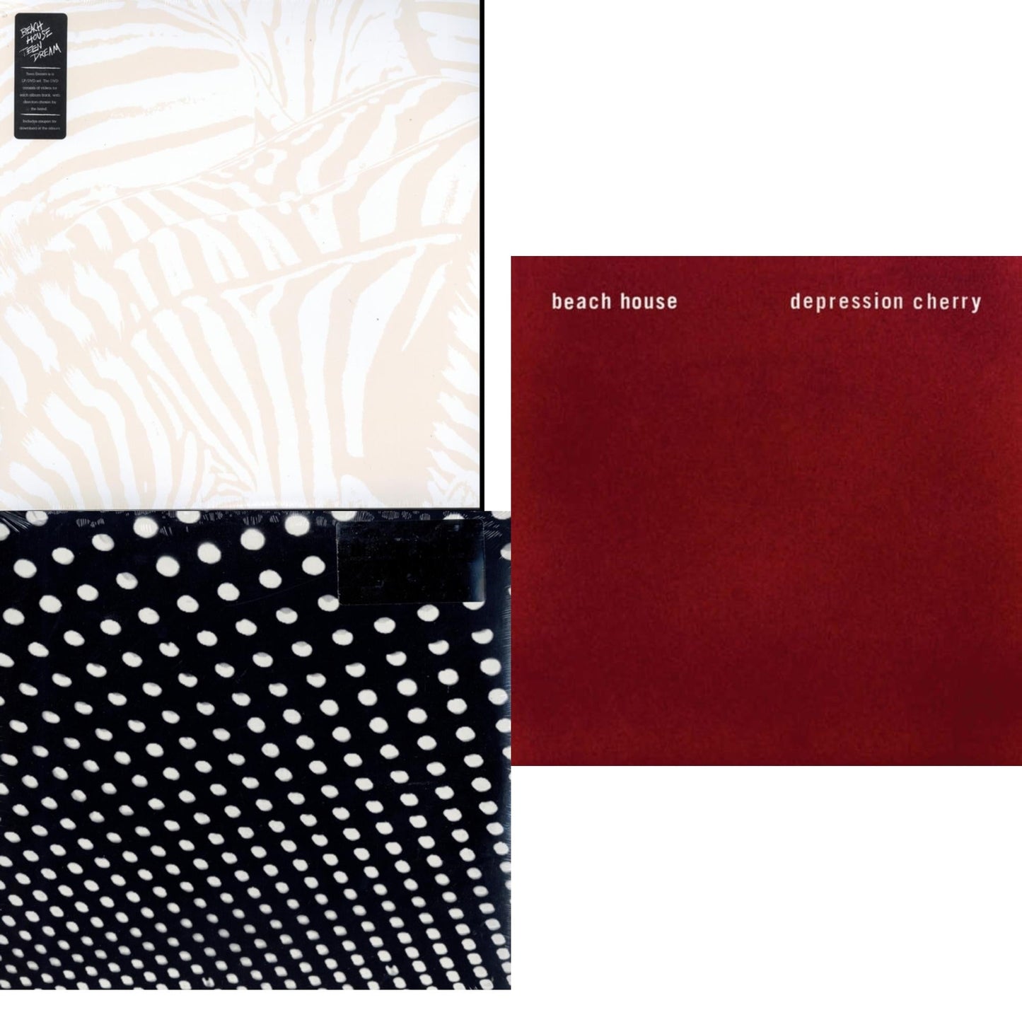Teen Dream & Bloom & Depression Cherry (Dl Card)