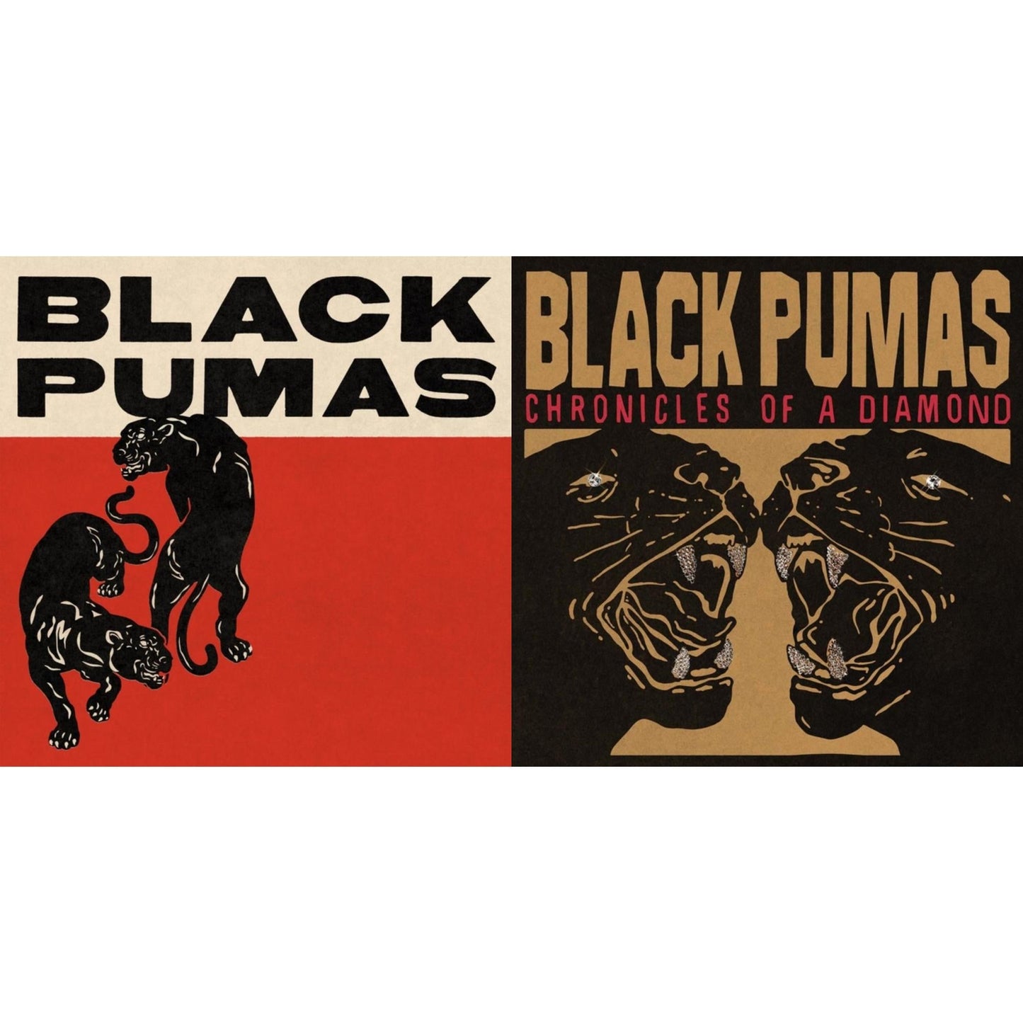Black Pumas - Black Pumas (Deluxe/Gold & Red/Black Marble Vinyl/2LP) & Chronicles Of A Diamond (Clear LP Vinyl)