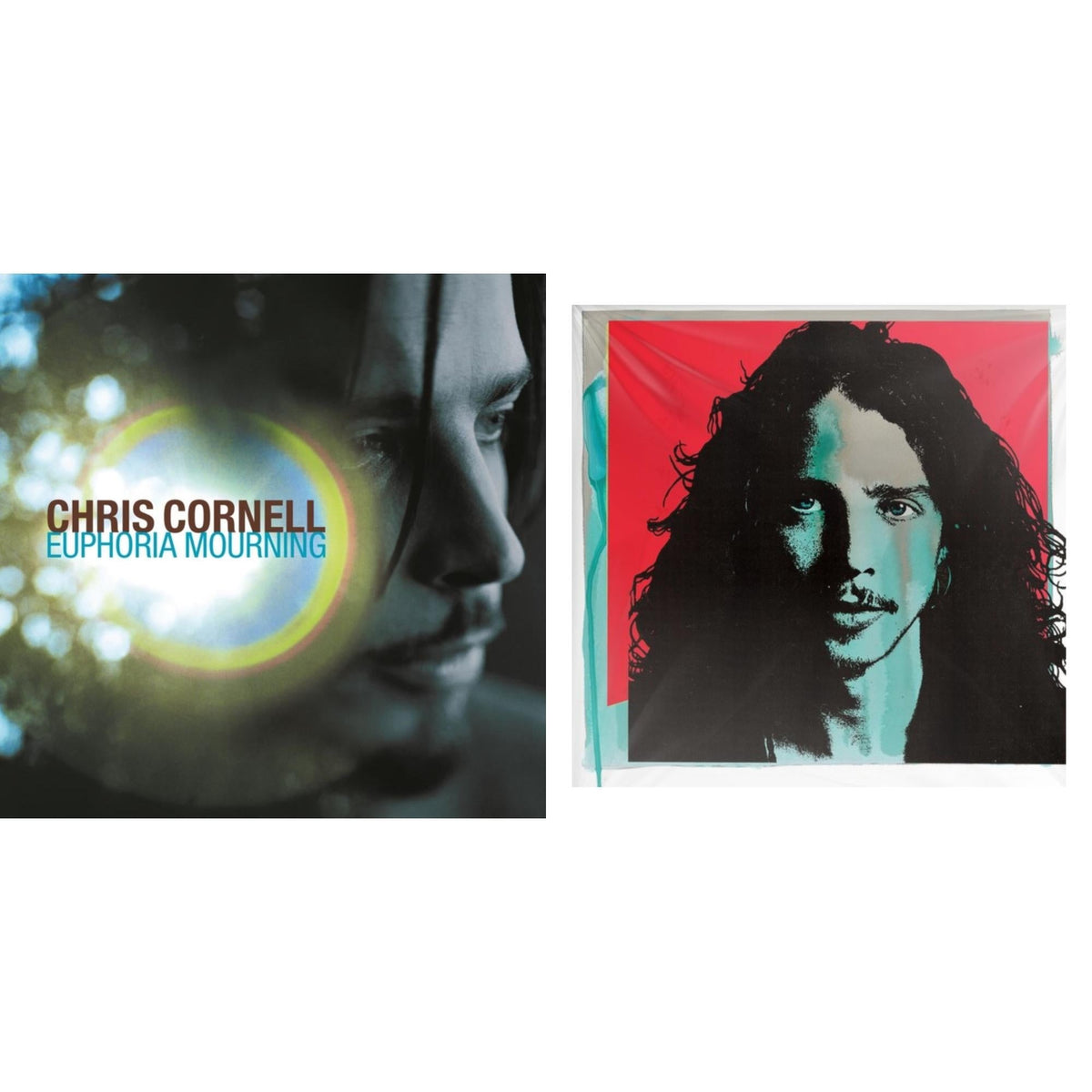 Euphoria Mourning & Chris Cornell (2LP/180G)