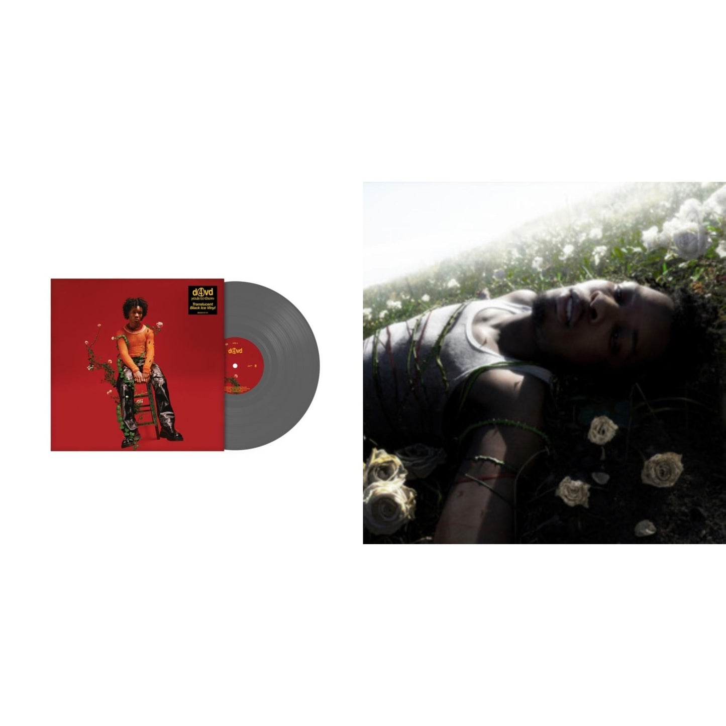 Petals To Thorns (Translucent Black Ice LP Vinyl) & Withered (Pure Cloudy White LP Vinyl)
