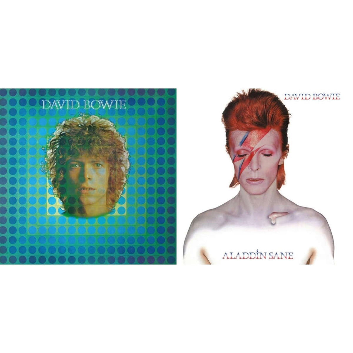 David Bowie Aka Space Oddity & Aladdin Sane