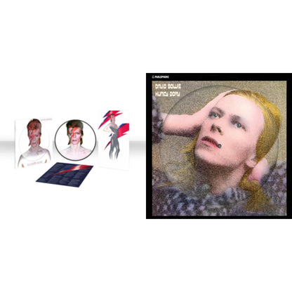David Bowie - Hunky Dory (2015 Remaster/50Th Anniv/Picture Disc) & Aladdin Sane (2013 Remaster) (Picture Disc) - LP Vinyl Bundle
