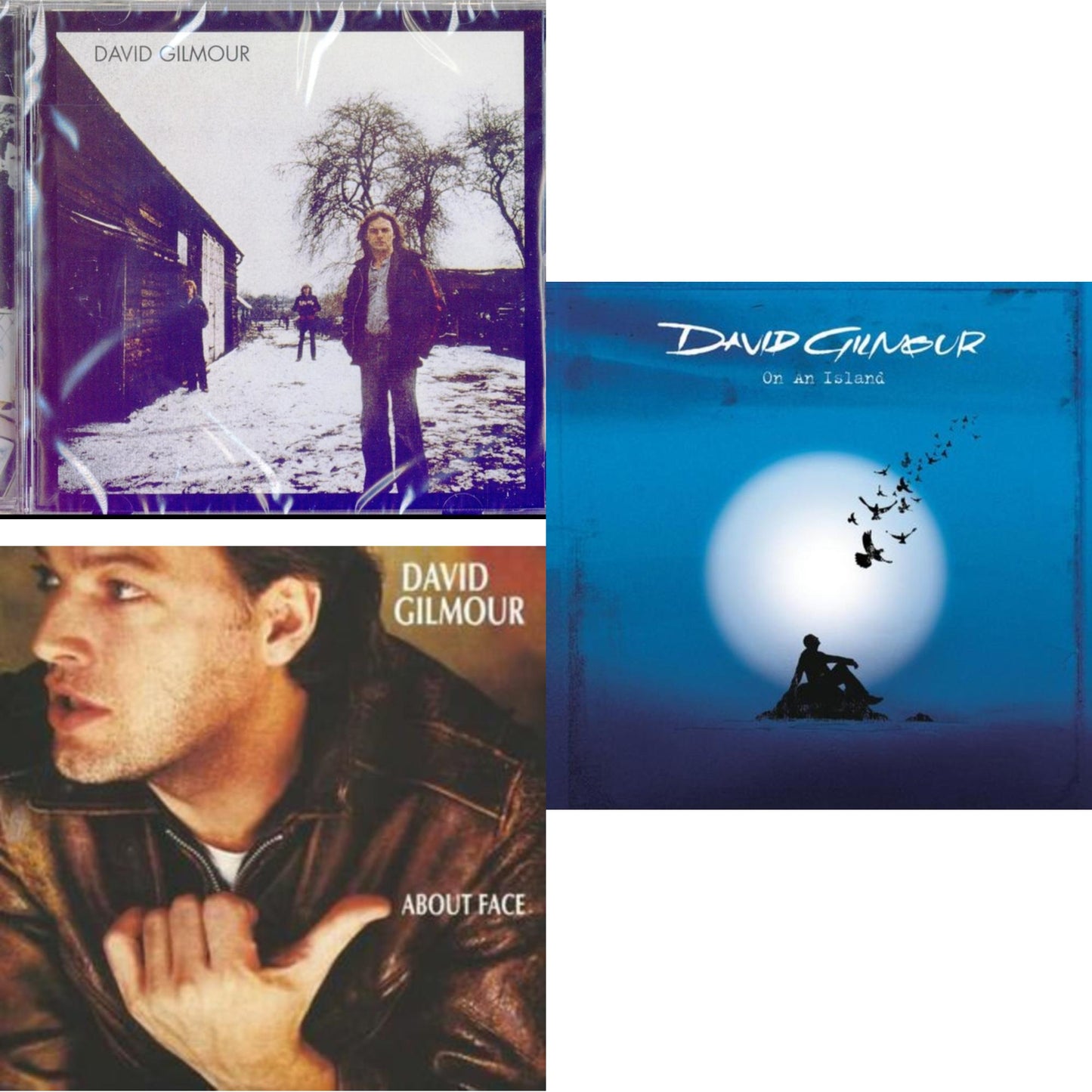 This is a 3 CD SKU bundle.
1.This CD is brand new.Format: CDMusic Style: Pop RockThis item's title is: David GilmourArtist: David GilmourLabel: Sony BMG Music EntertainmentBarcode: 828768151624Release Date: 9/12/2006
2.This CD is brand new.