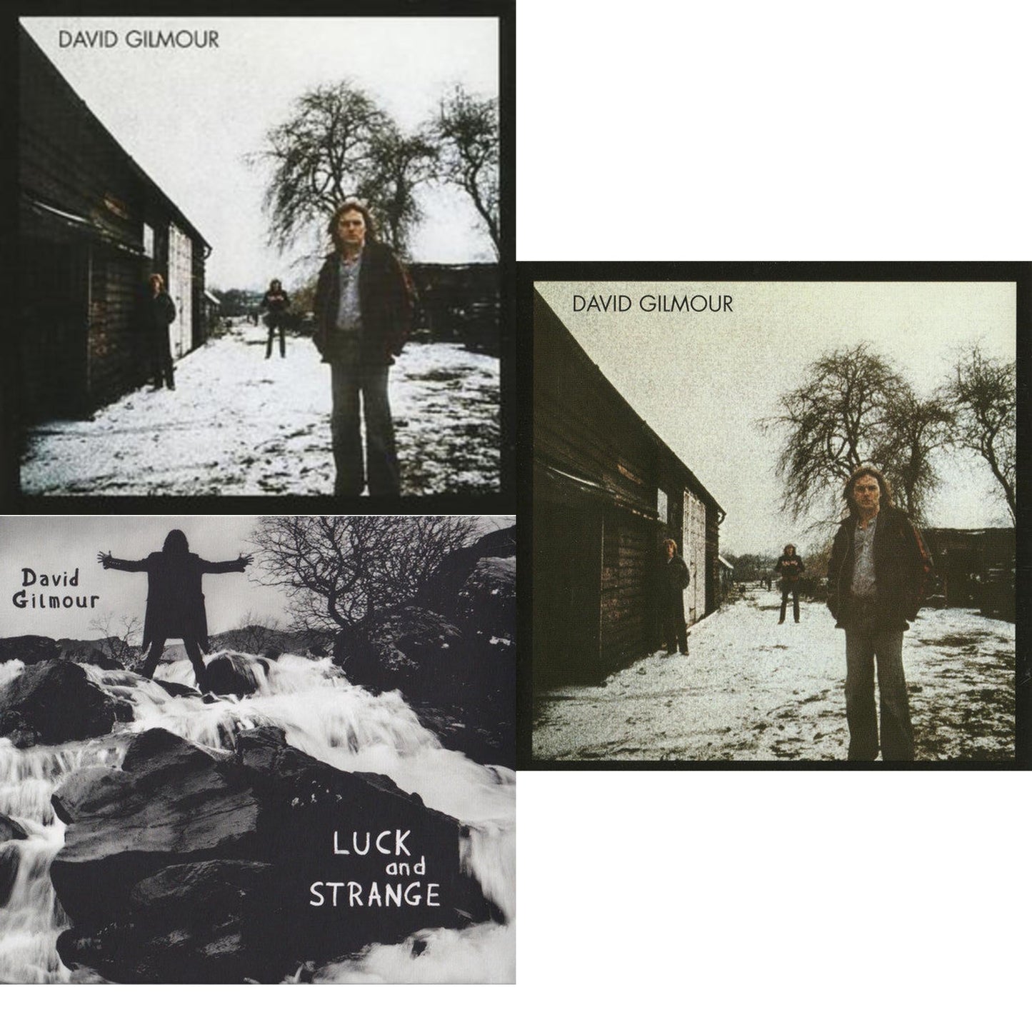 David Gilmour & Luck & Strange & David Gilmour