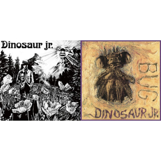 Dinosaur & Bug