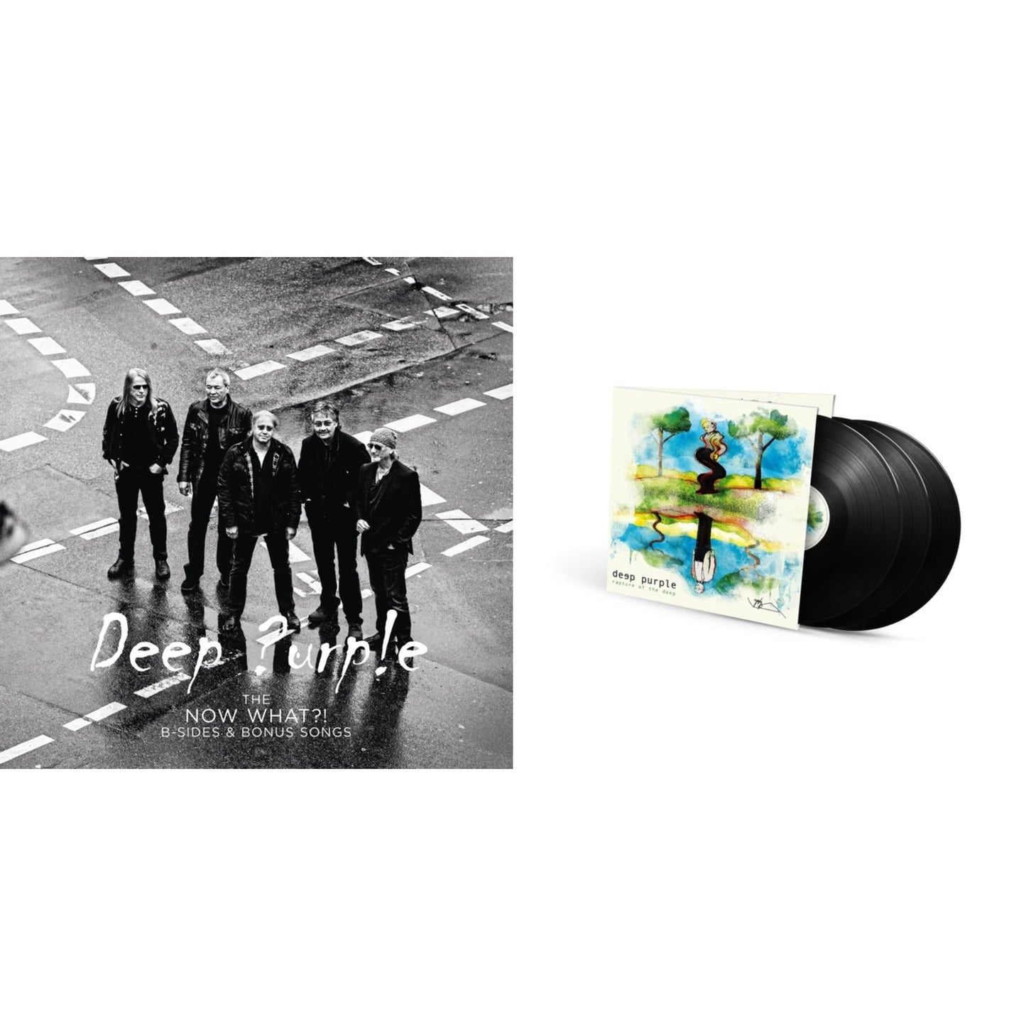 Now What?! B-Sides & Bonus Songs (Purple LP Vinyl) & Rapture Of The Deep (20Th Anniversary Remix/3LP/180G)