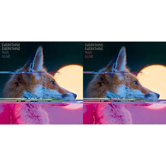Everything Everything - Man Alive & Man Alive (Deluxe Edition) (2LP)