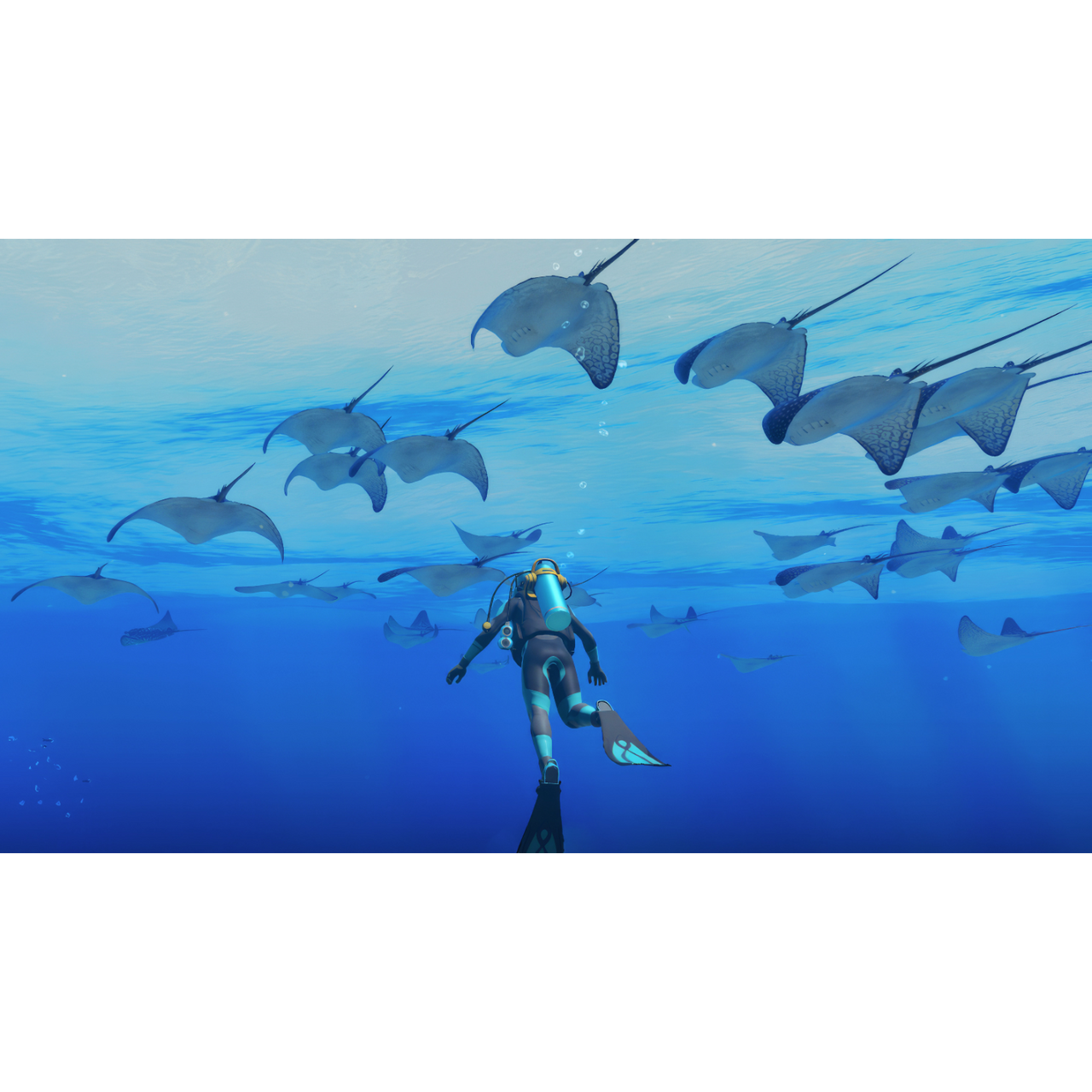 Endless Ocean: Luminous - Switch