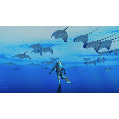 Endless Ocean: Luminous - Switch