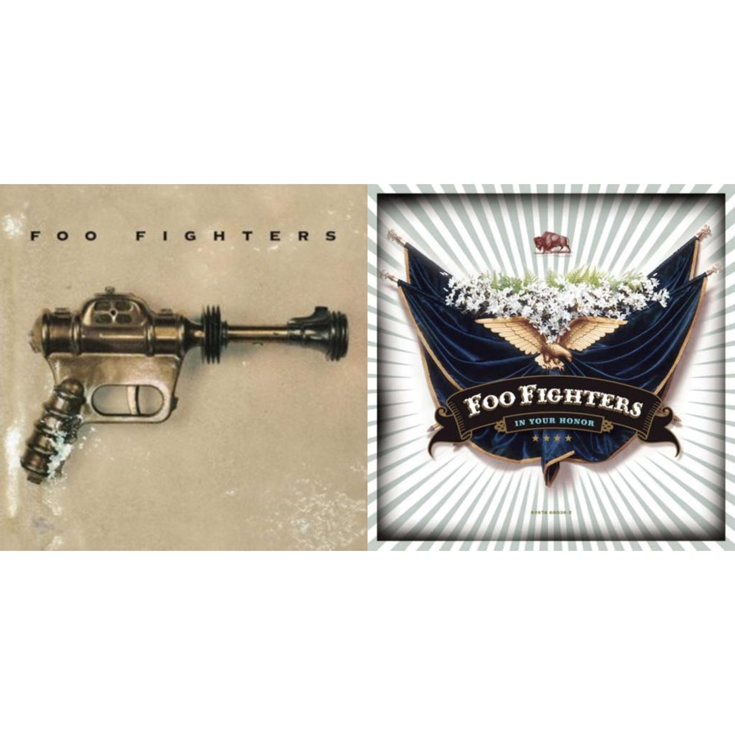 Foo Fighters (Dl Card) & In Your Honor (2LP/Dl Card)
