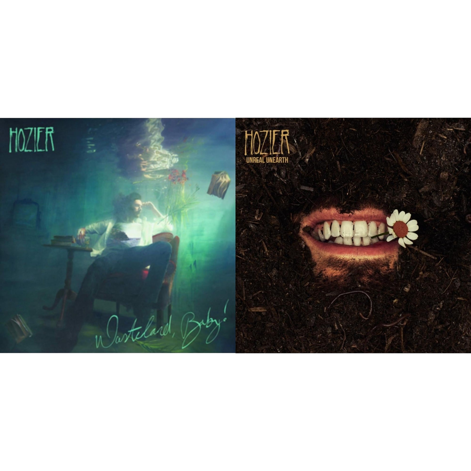 This is a 2 LP Vinyl SKU bundle.
1.This LP Vinyl is brand new.Format: LP VinylThis item's title is: Wasteland Baby!Artist: HozierLabel: ISLAND RECORDSBarcode: 602577412714Release Date: 3/1/2019
2.This LP Vinyl is brand new.
