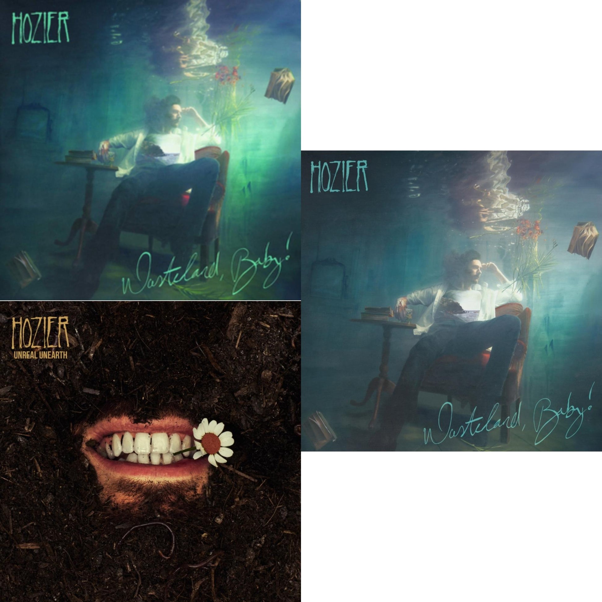 This is a 3 LP Vinyl SKU bundle.
1.This LP Vinyl is brand new.Format: LP VinylThis item's title is: Wasteland Baby!Artist: HozierLabel: ISLAND RECORDSBarcode: 602577412714Release Date: 3/1/2019
2.This LP Vinyl is brand new.