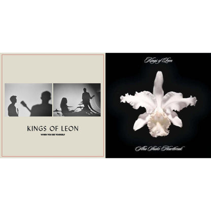 When You See Yourself (2LP/180G) & Aha Shake Heartbreak (2LP/180G/Gatefold)