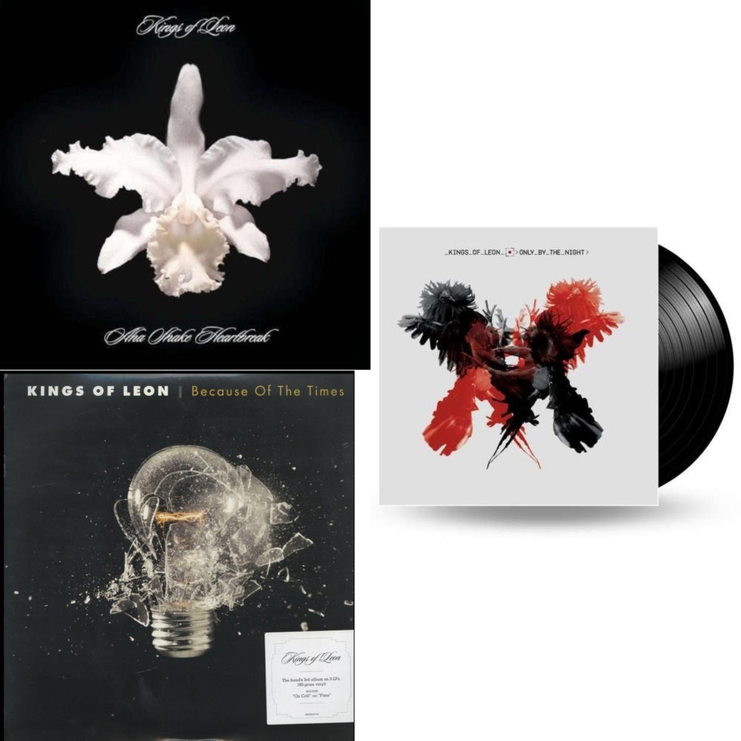 Aha Shake Heartbreak (2LP/180G/Gatefold) & Because Of The Times (2LP/180G/Gatefold) & Only By The Night