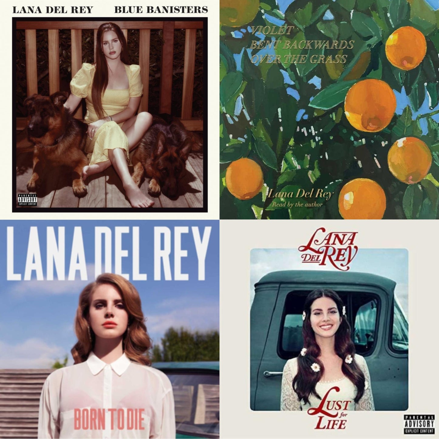 Blue Banisters (2LP) & Violet Bent Backwards Over The Grass (180G) & Born To Die & Lust For Life