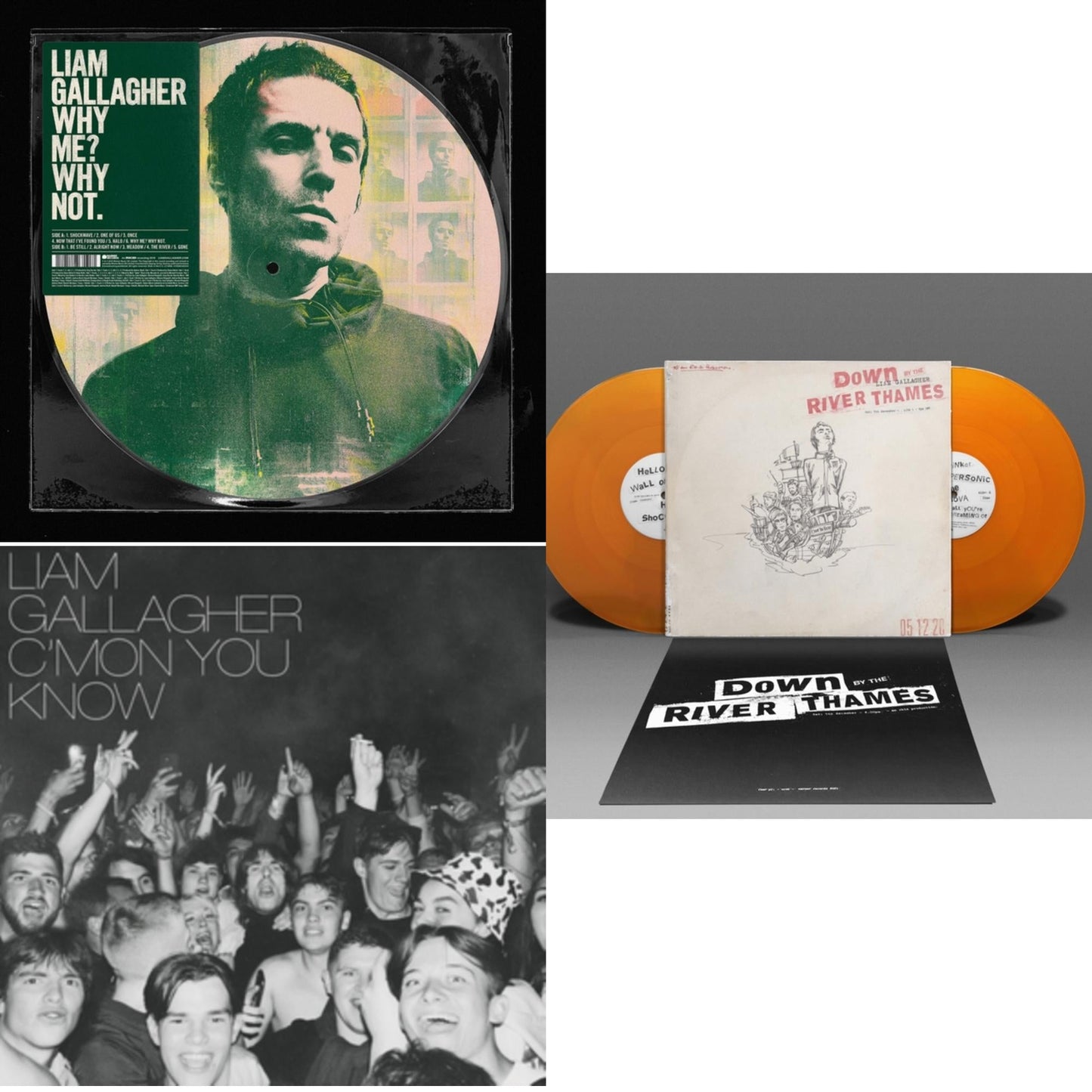 Liam Gallagher - Why Me? Why Not (Picutre Disc) & C'mon You Know & Down By The River Thames (2LP/Orange Vinyl)
