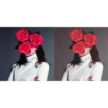 This is a 2 LP Vinyl SKU bundle.
1.This LP Vinyl is brand new.Format: LP VinylMusic Style: Post-PunkThis item's title is: When I Hit You — You'll Feel It (2LP/Clear Vinyl)Artist: Leslie WinerLabel: LIGHT IN THE ATTICBarcode: 826853218122Release Date: 9/10/2021
2.
