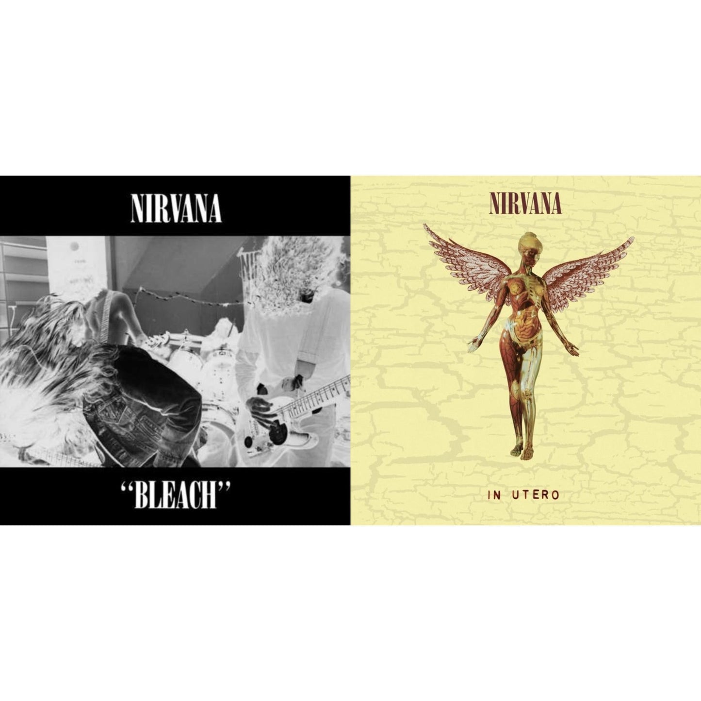 This is a 2 LP Vinyl SKU bundle.
1.This LP Vinyl is brand new.Format: LP VinylMusic Style: GrungeThis item's title is: BleachArtist: NirvanaLabel: SUBPOPBarcode: 098787003413Release Date: 10/1/1993
2.This LP Vinyl is brand new.