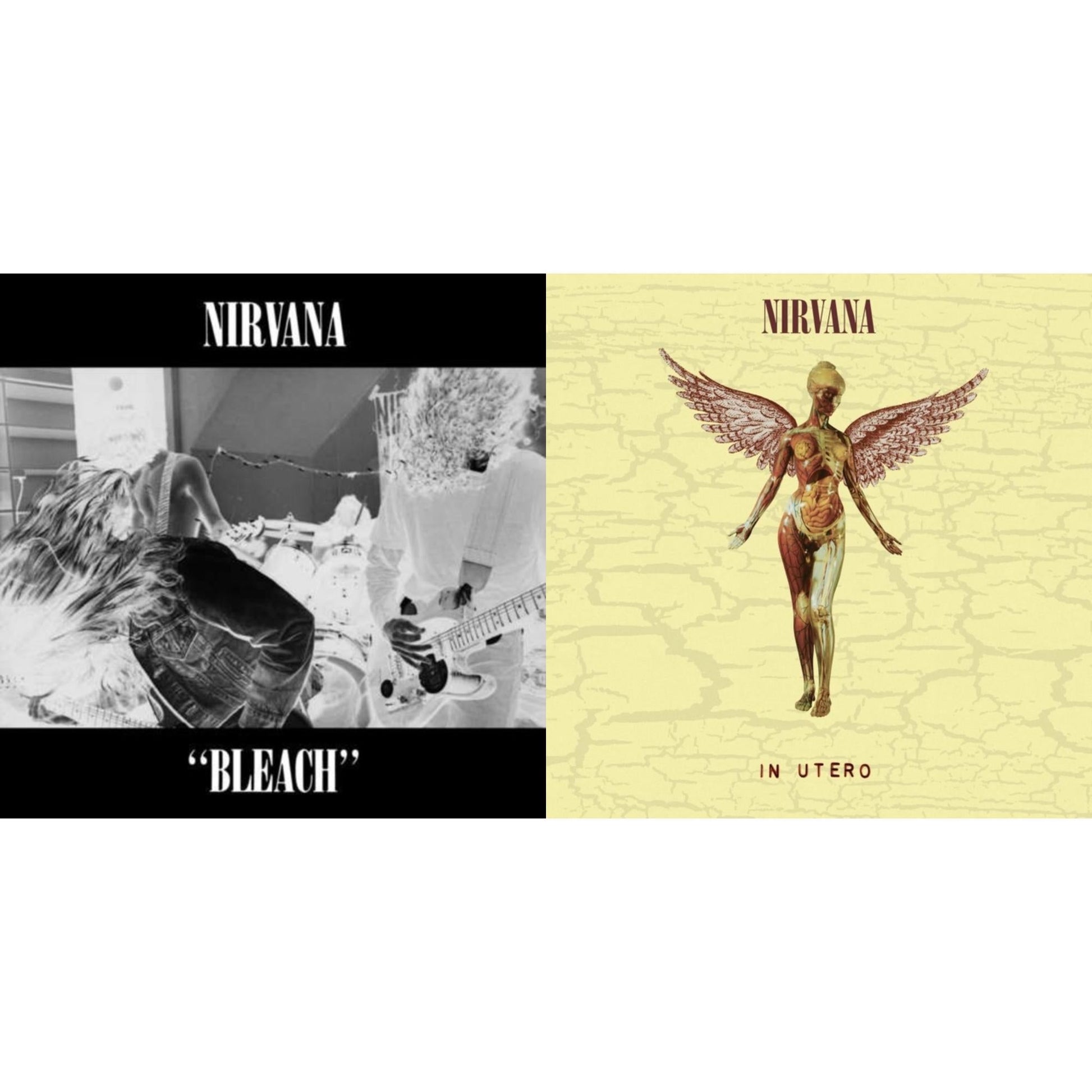 This is a 2 LP Vinyl SKU bundle.
1.This LP Vinyl is brand new.Format: LP VinylMusic Style: GrungeThis item's title is: BleachArtist: NirvanaLabel: SUBPOPBarcode: 098787003413Release Date: 10/1/1993
2.This LP Vinyl is brand new.