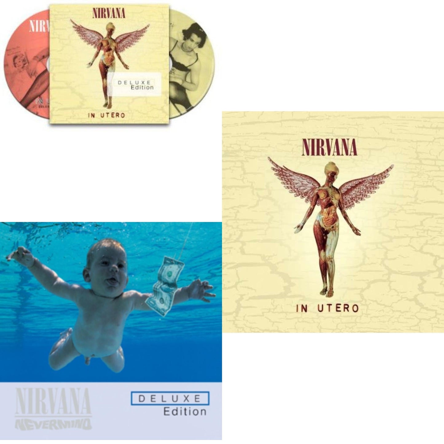 This is a 3 CD SKU bundle.
1.This CD is brand new.Format: CDMusic Style: GrungeThis item's title is: In UteroArtist: NirvanaLabel: GEFFENBarcode: 602537502974Release Date: 9/24/2013
2.This CD is brand new.