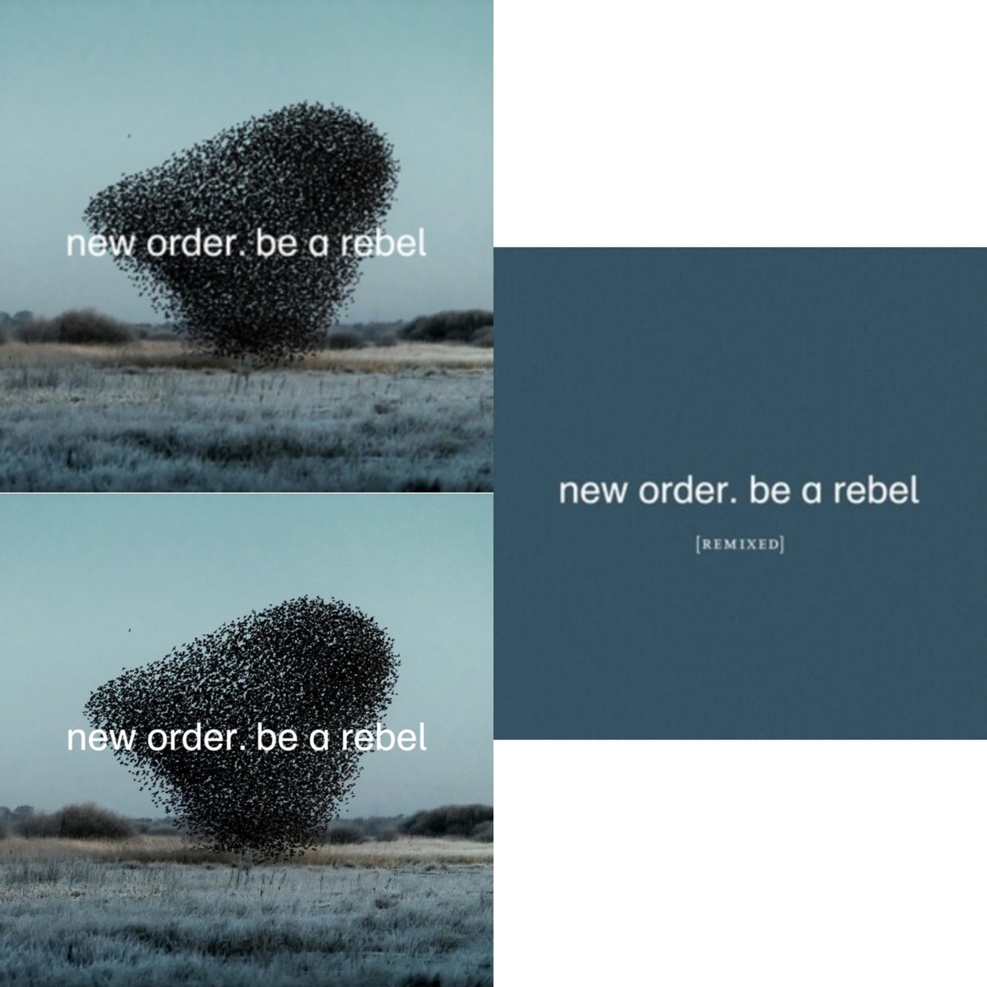 This is a 3 LP Vinyl SKU bundle.
1.This LP Vinyl is brand new.Format: LP VinylMusic Style: Synth-popThis item's title is: Be A Rebel EpArtist: New OrderLabel: MUTEBarcode: 5400863037413Release Date: 11/13/2020
2.This LP Vinyl is brand new.