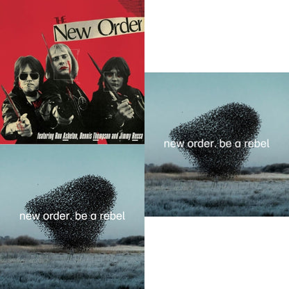 This is a 3 LP Vinyl SKU bundle.
1.This LP Vinyl is brand new.Format: LP VinylThis item's title is: New Order (Marble LP Vinyl)Artist: New OrderLabel: CLEOPATRABarcode: 889466422416Release Date: 9/29/2023
2.This LP Vinyl is brand new.