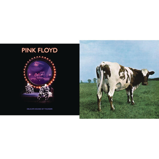 Delicate Sound Of Thunder (2CD) & Atom Heart Mother