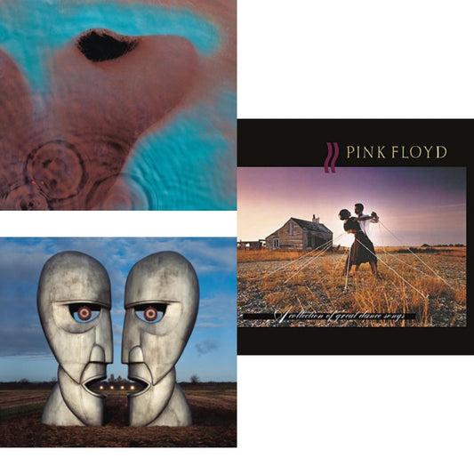Meddle (180G/Gatefold/2016 Version) & Division Bell (180G/2016 Version/Gatefold) & Collection Of Great Dance Songs (180G)