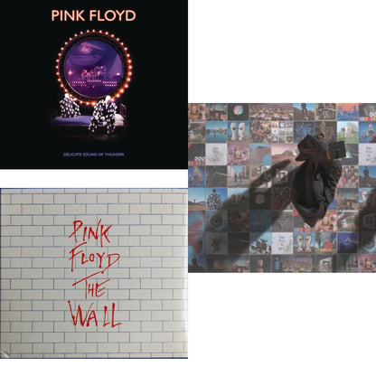 Delicate Sound Of Thunder (2CD) & Wall & Foot In The Door: Best Of Pink Floyd