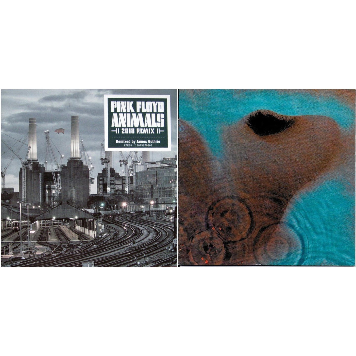 Animals (2018 Remix) & Meddle