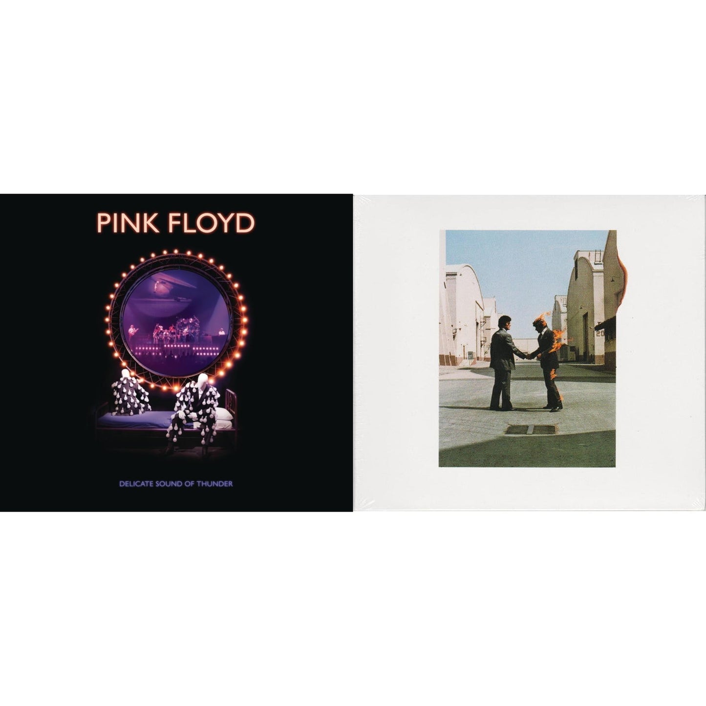 Delicate Sound Of Thunder (2CD) & Wish You Were Here