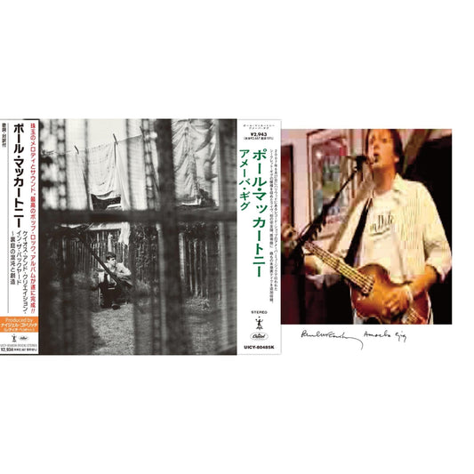 Chaos & Creation In The Backyard  & Amoeba Gig (Live)