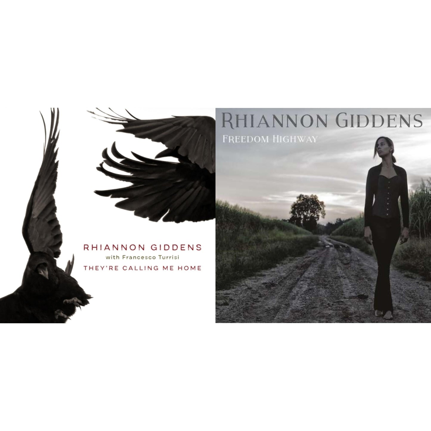 This is a 2 CD SKU bundle.
1.This CD is brand new.Format: CDMusic Style: FolkThis item's title is: They're Calling Me HomeArtist: Rhiannon GiddensLabel: NONESUCHBarcode: 075597915709Release Date: 4/9/2021
2.This CD is brand new.