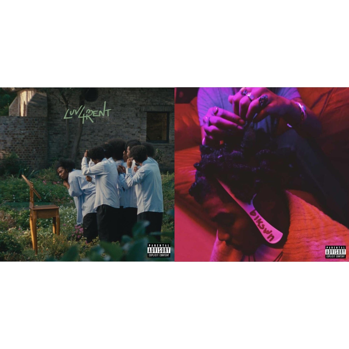 Luv 4 Rent (2LP) & Blkswn (2LP)
