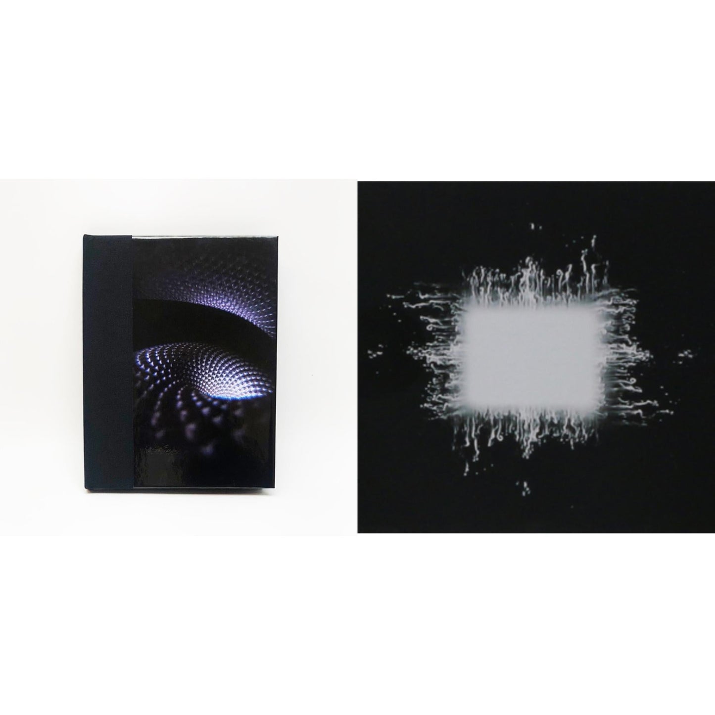 Fear Inoculum (Deluxe/Book/Graphic Cards/Dl Card) & Aenima