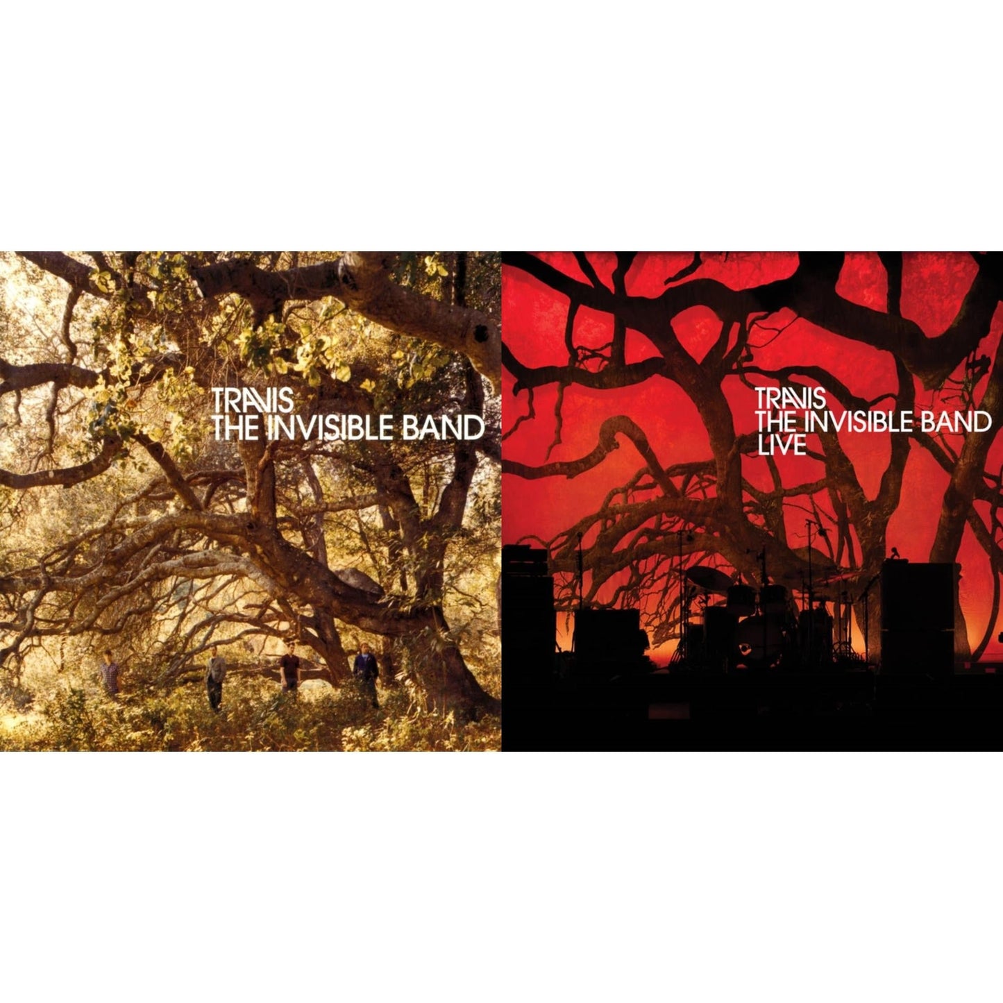 Invisible Band (20Th Anniversary/Deluxe/2CD/Clear Vinyl/2LP) & Invisible Band: Live (Clear Vinyl/2LP)