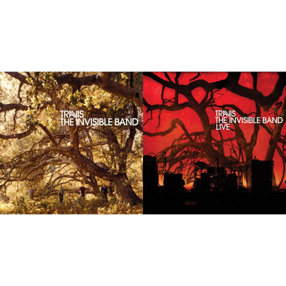 Invisible Band (20Th Anniversary/Deluxe/2CD/Clear Vinyl/2LP) & Invisible Band: Live (Clear Vinyl/2LP)