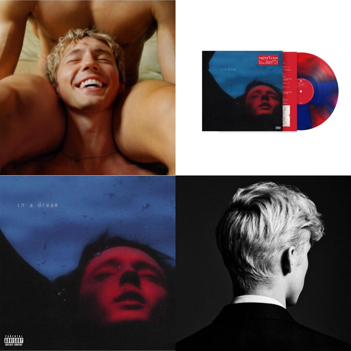 Something To Give Each Other (X) & In A Dream (5 Year Anniversary) (Red/Blue Swirl LP Vinyl/Ep) & In A Dream (Ep) (Light & Dark Blue Splatter LP Vinyl/180G) & Bloom