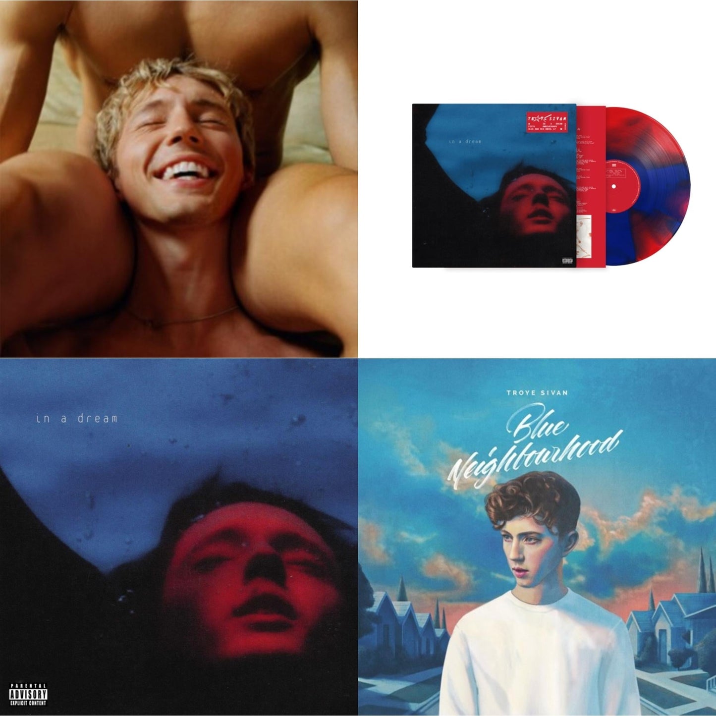Something To Give Each Other (X) & In A Dream (5 Year Anniversary) (Red/Blue Swirl LP Vinyl/Ep) & In A Dream (Ep) (Light & Dark Blue Splatter LP Vinyl/180G) & Blue Neighbourhood