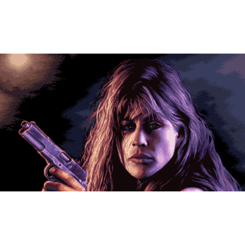 Terminator 2D: NO FATE - Switch