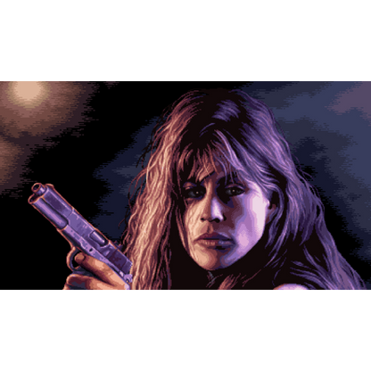 Terminator 2D: NO FATE - Switch