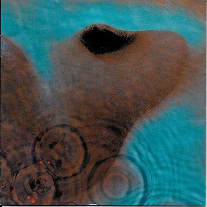 Animals (2018 Remix) & Ummagumma & Meddle & Wish You Were Here